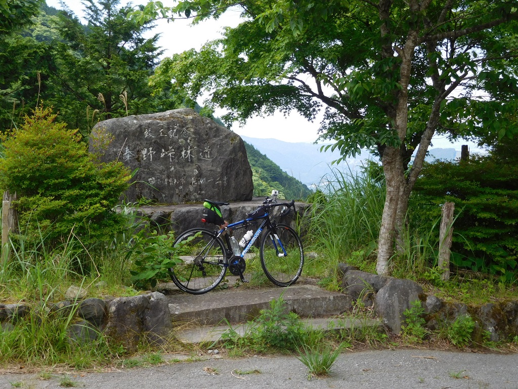 秦野峠林道
